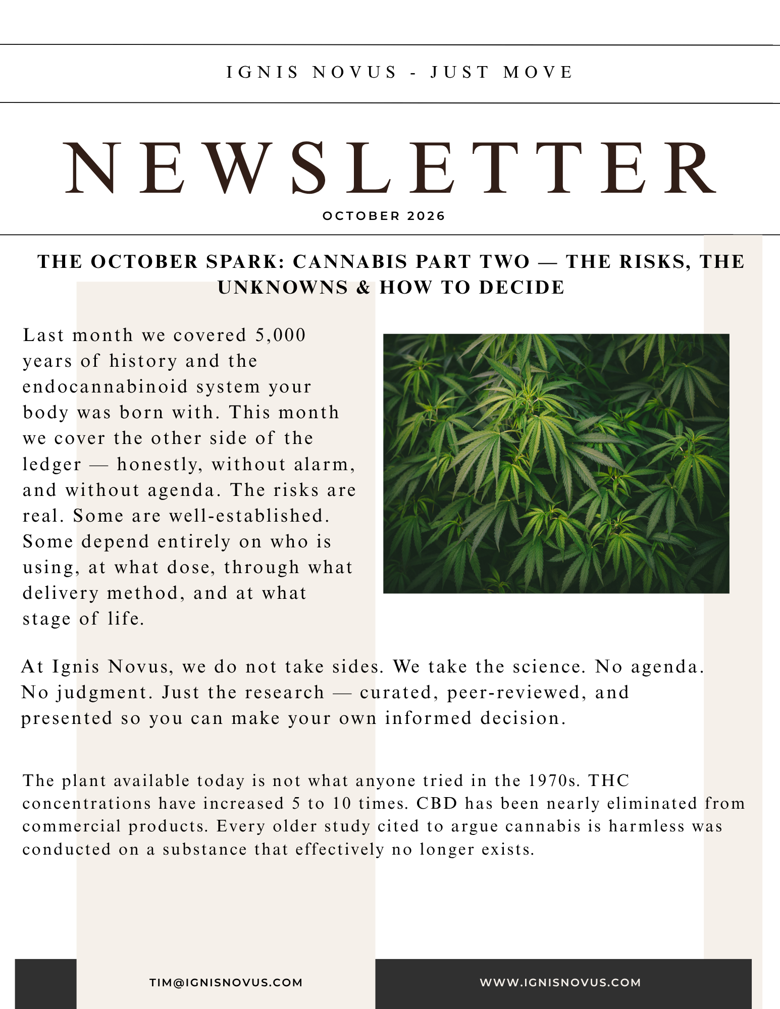 October 2026 newsletter preview